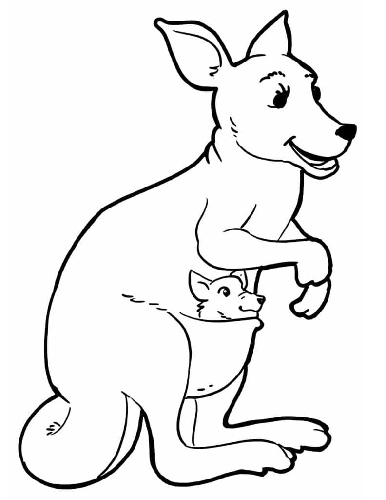 Desenhos de Canguru 5 para colorir
