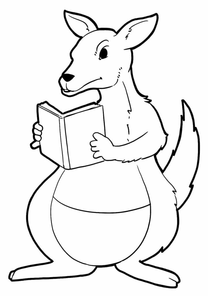 Desenhos de Canguru fácil para colorir