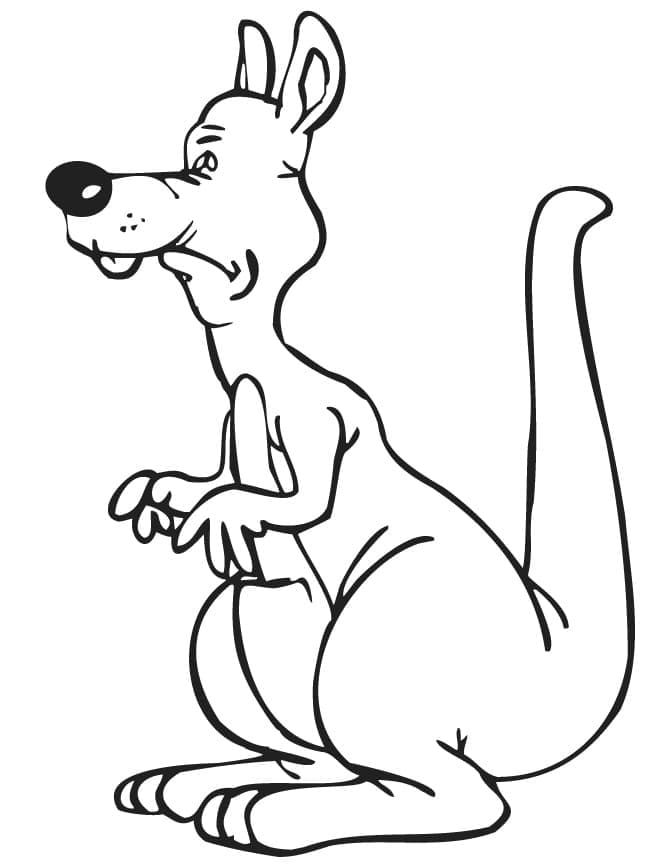 Desenhos de Canguru impressão para colorir