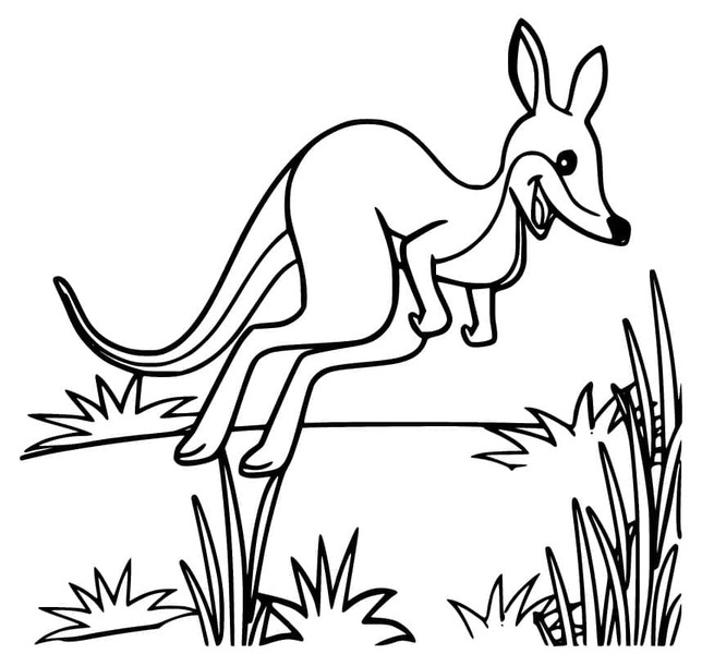 Desenhos de Canguru para crianças para colorir