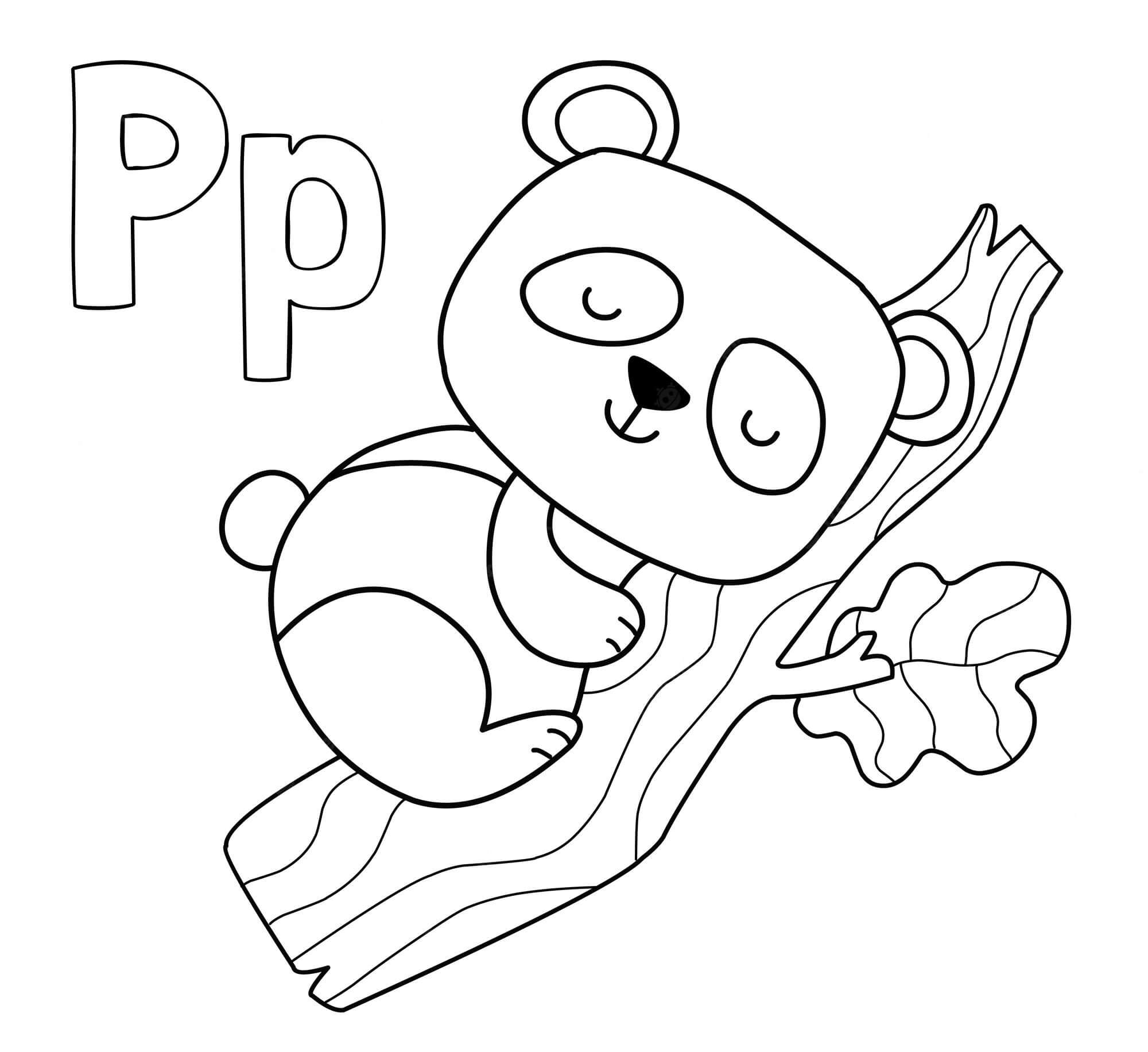 Letra P com Panda para colorir