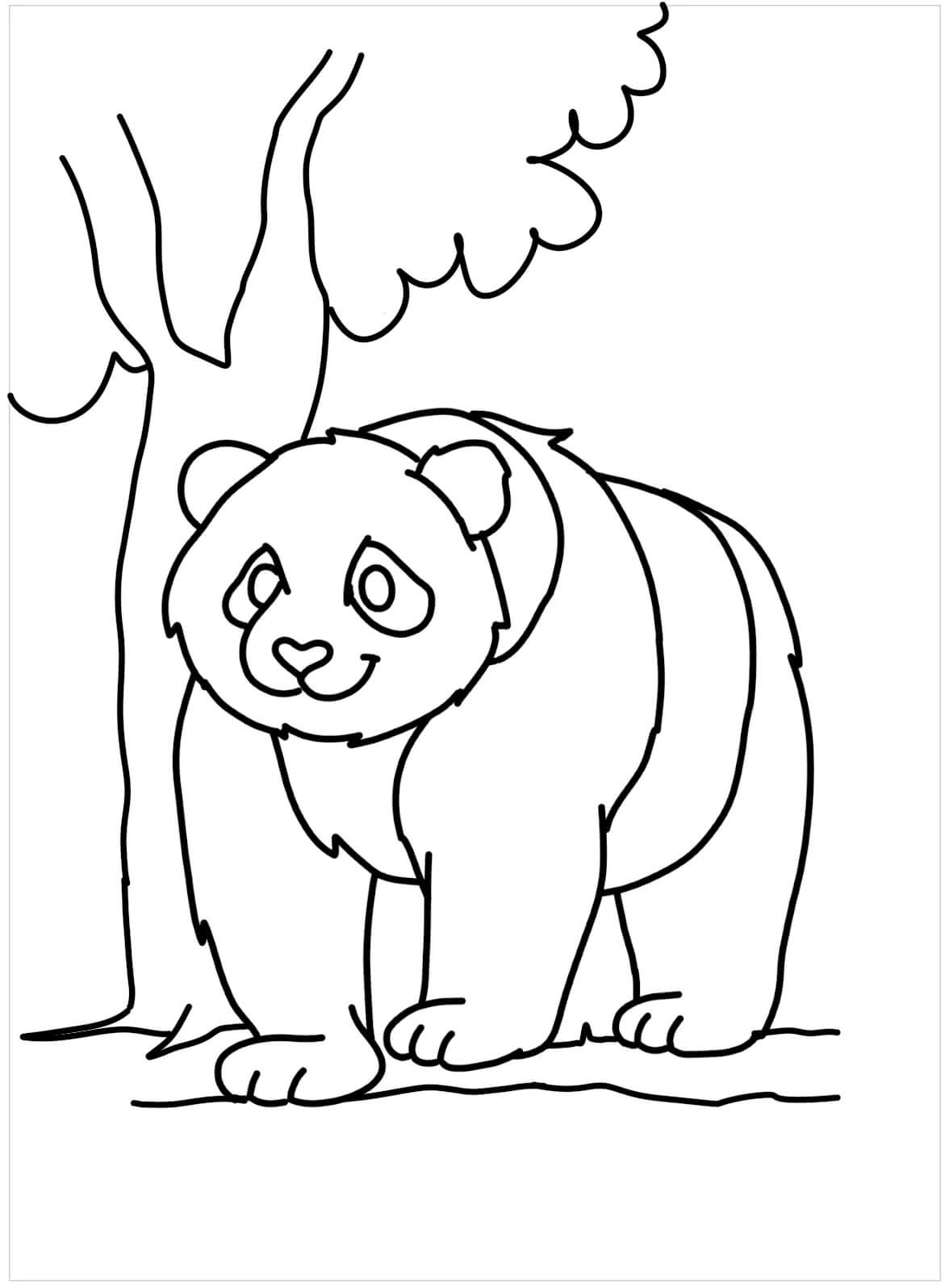 Panda Gigante para colorir