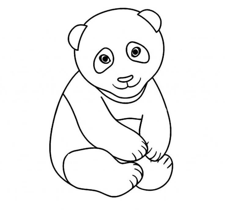 Desenhos de Panda Sentado para colorir