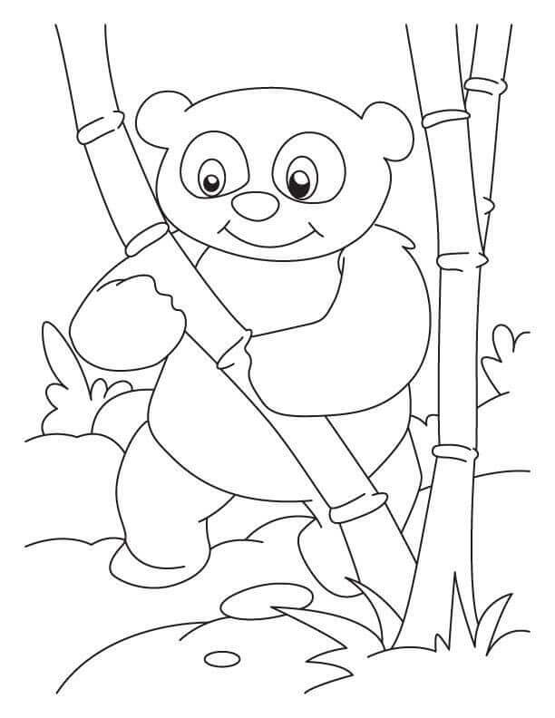 Desenhos de Panda Sorridente com Árvore de Bambu para colorir