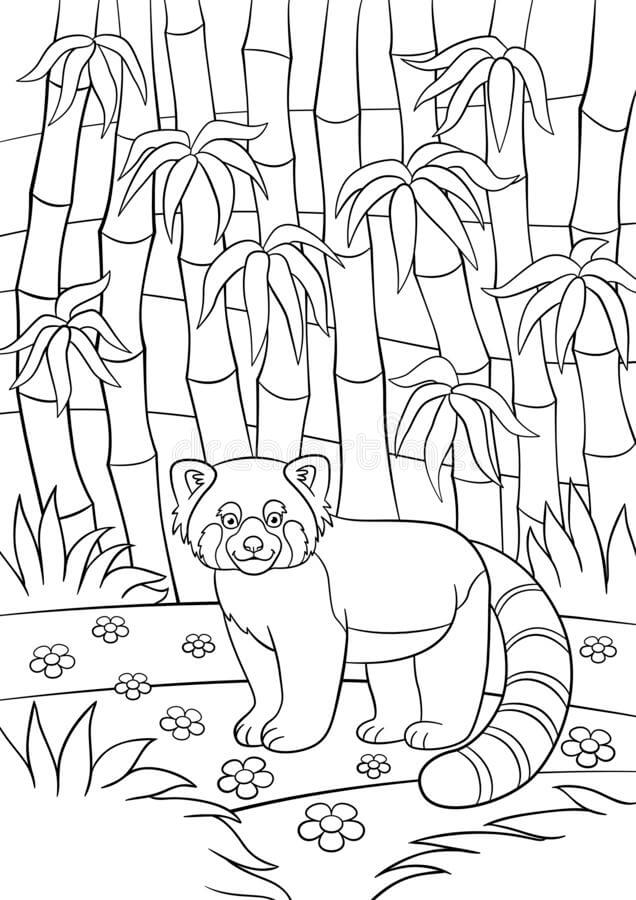 Desenhos de Panda Vermelho na Selva para colorir