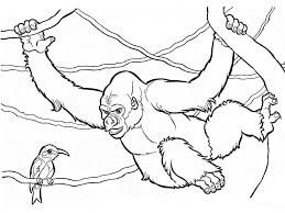Desenhos de Árvore de Escalada de Gorila para colorir