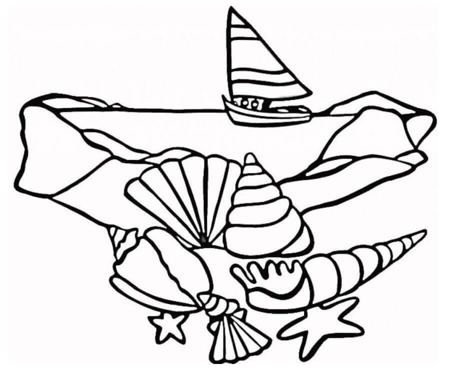Desenhos de Barco e Conchas para colorir