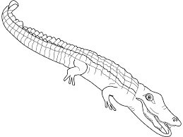 Desenhos de Bom Crocodilo para colorir