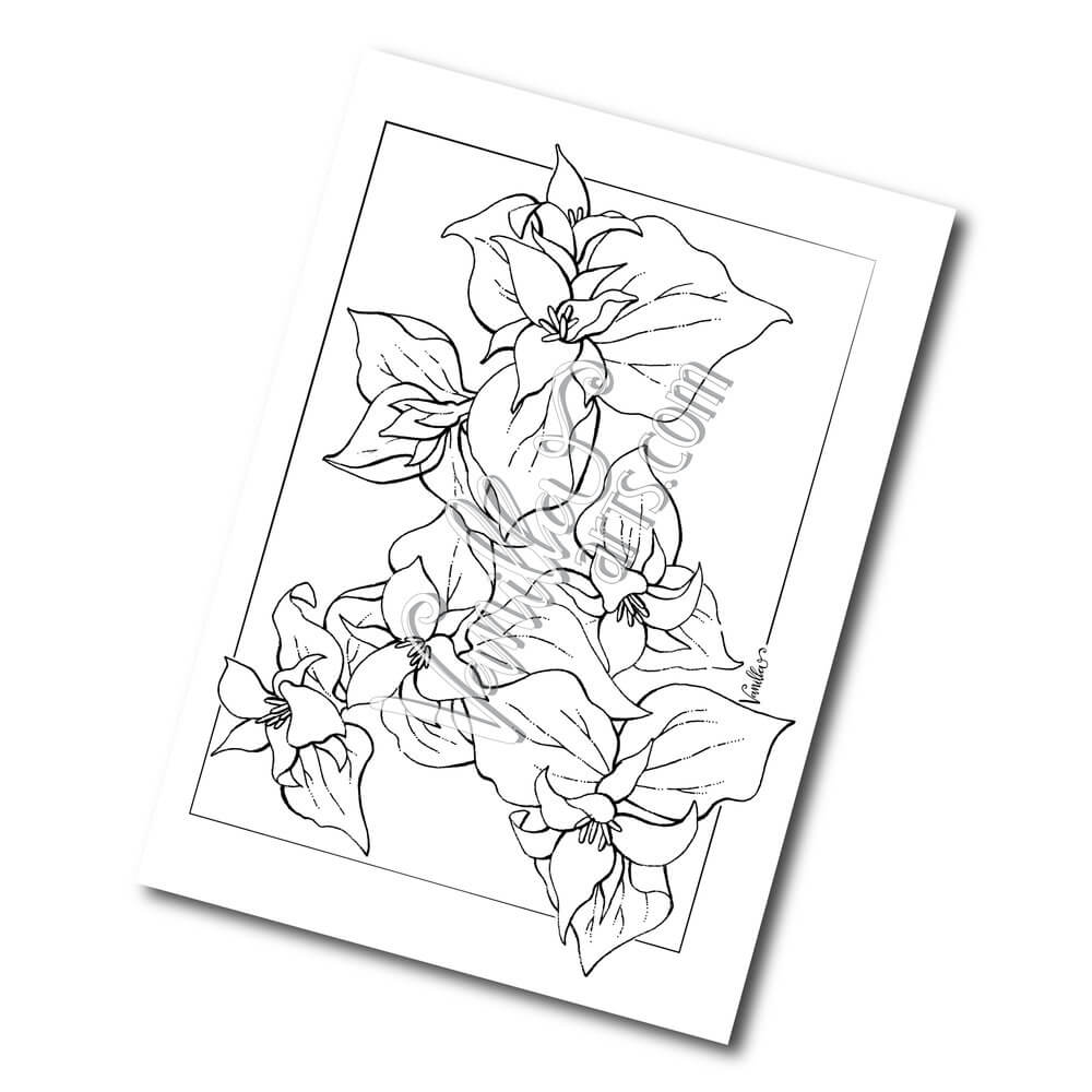 Caixa de Flores Trillium para colorir