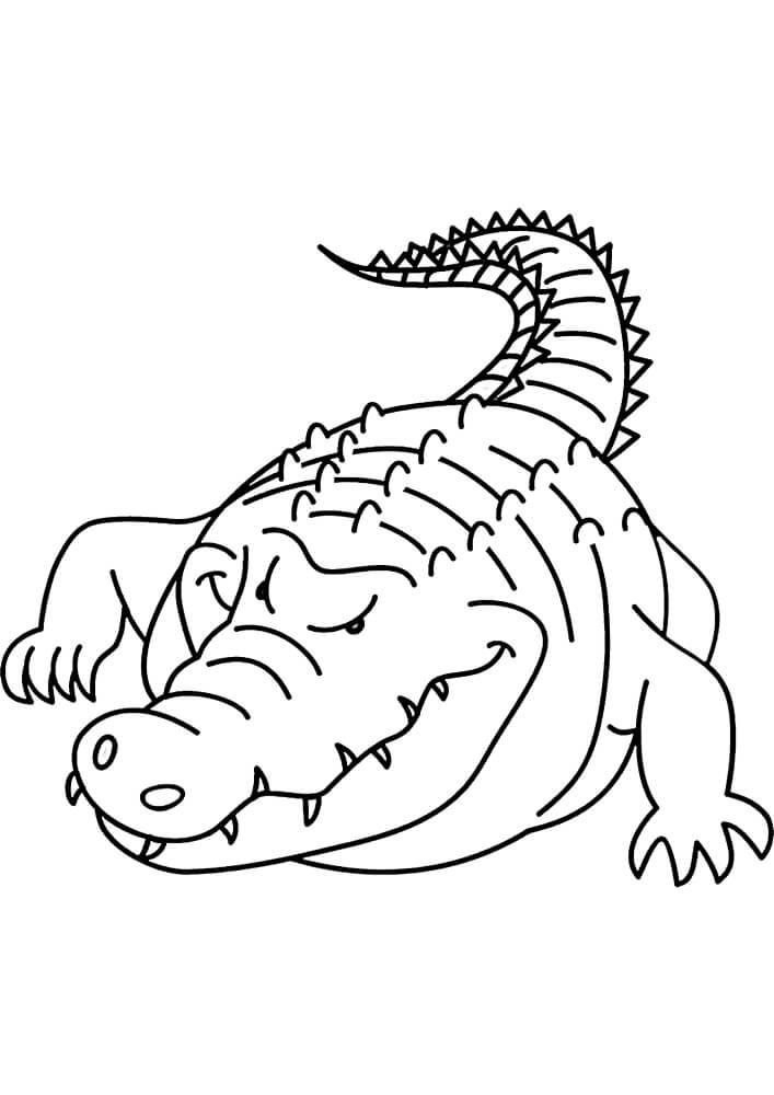 Desenhos de Caminhada de Crocodilo para colorir