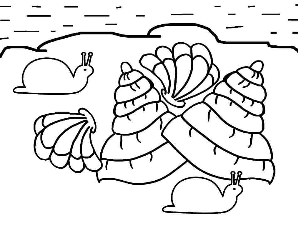 Desenhos de Caracóis e Conchas na Praia para colorir