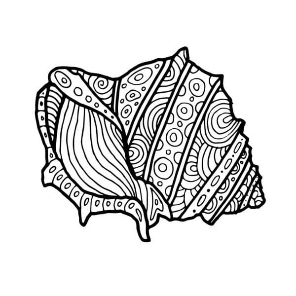 Desenhos de Concha do mar Adulto para colorir