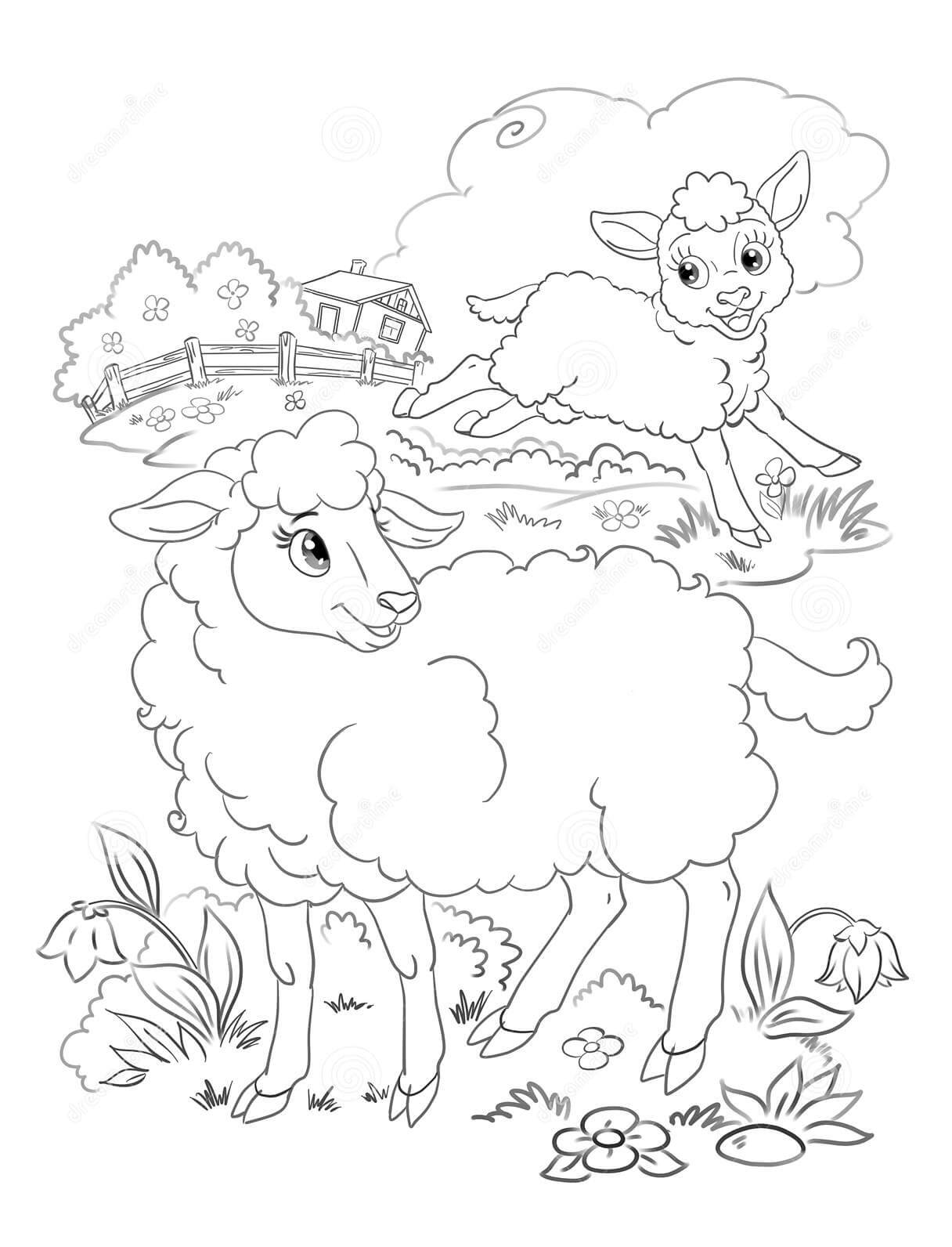 Desenhos de Cordeiro e Ovelha Feliz para colorir