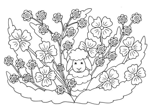 Desenhos de Cordeiro em Flor para colorir