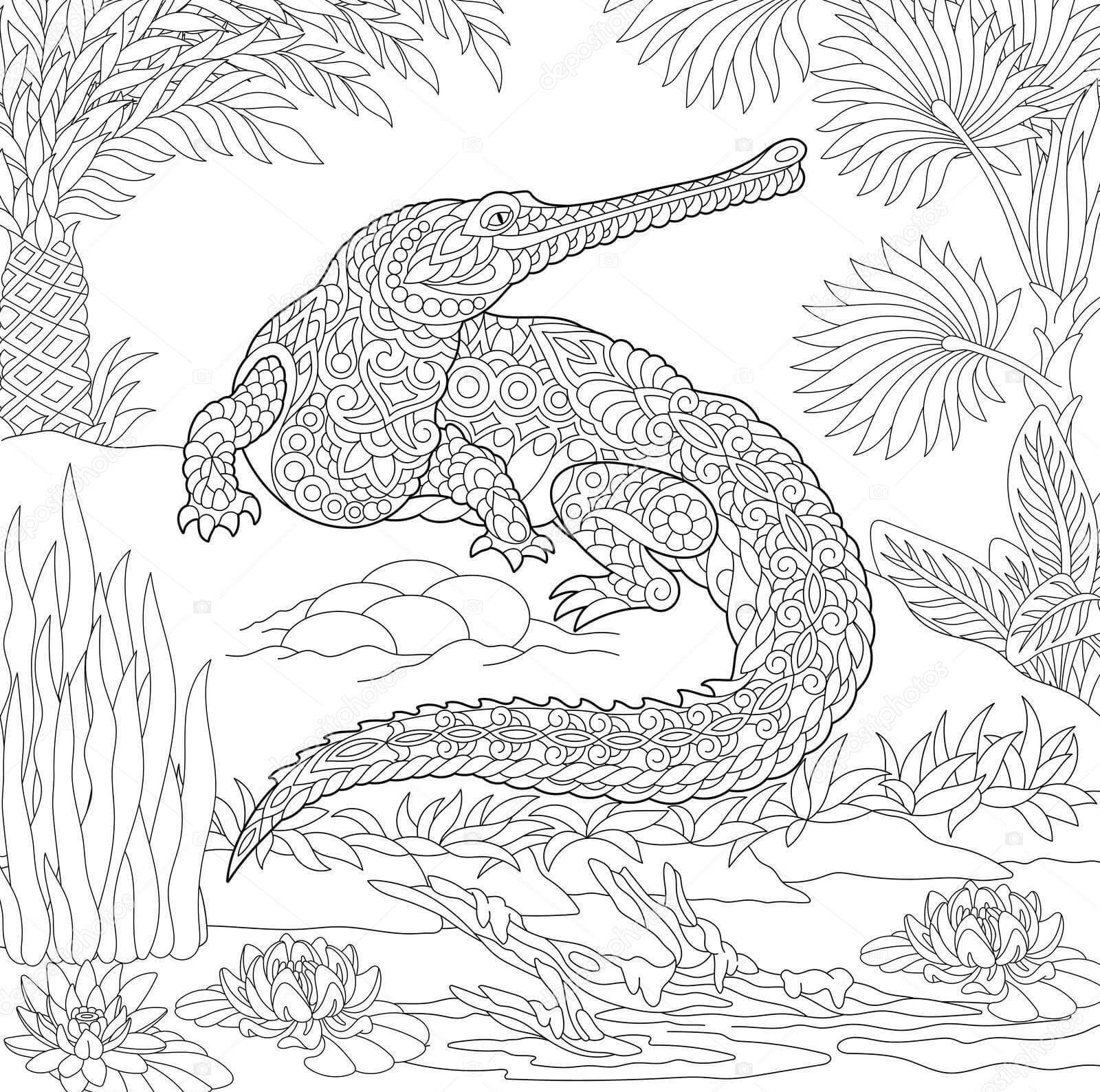 Crocodile Gharial Zentangle para colorir
