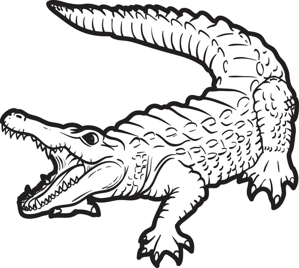 Crocodilo Aterrorizante para colorir