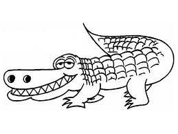 Crocodilo Estúpido para colorir