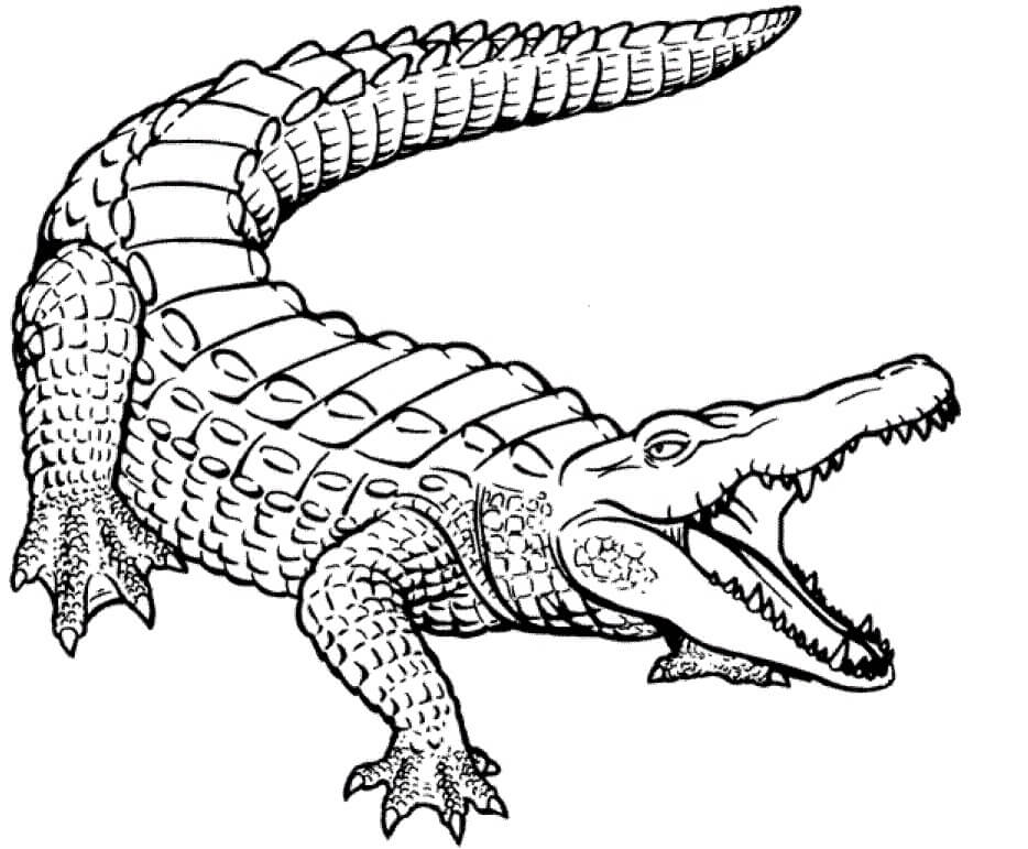 Desenhos de Crocodilo Incrível para colorir