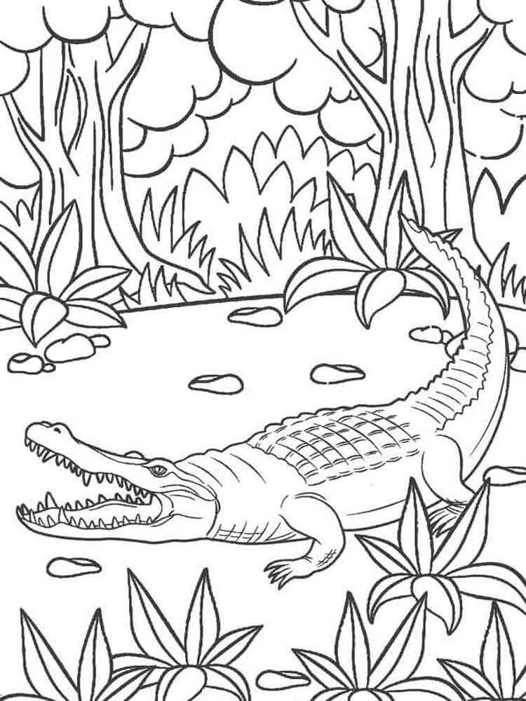 Crocodilo na Selva para colorir