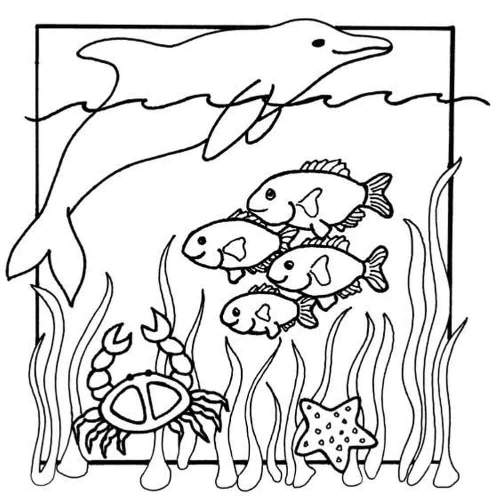 Desenhos de Desenho de Animais Marinhos para colorir