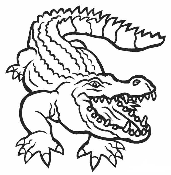 Desenho de Crocodilo para colorir