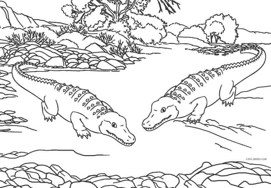 Desenhos de Dois Crocodilos para colorir