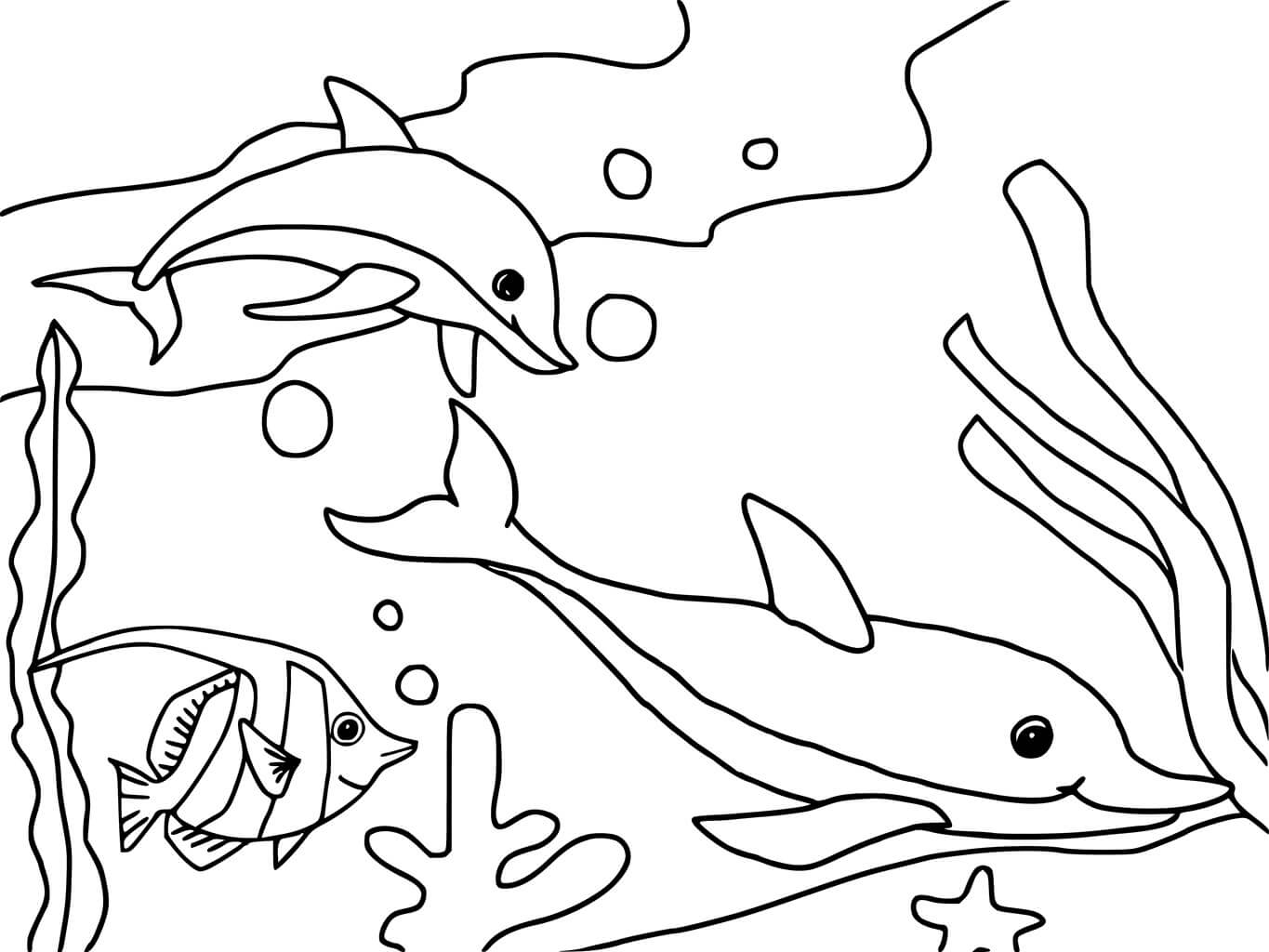 Desenhos de Dois Golfinhos e Peixes para colorir