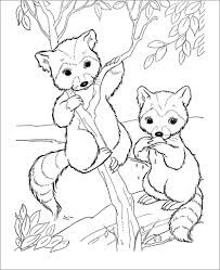 Desenhos de Dois Guaxinins Fofos no Galho de Árvore para colorir