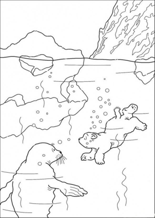 Desenhos de Dois Ursos Polares Estão Nadando para colorir