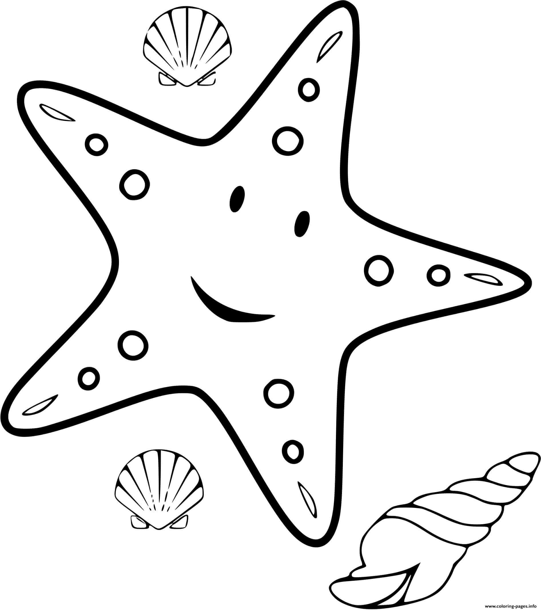 Desenhos de Estrela do Mar e Concha para colorir