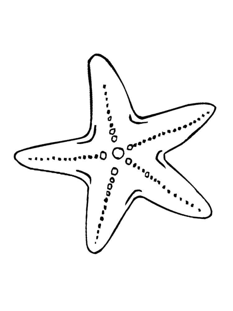Estrela do Mar Patrick para colorir