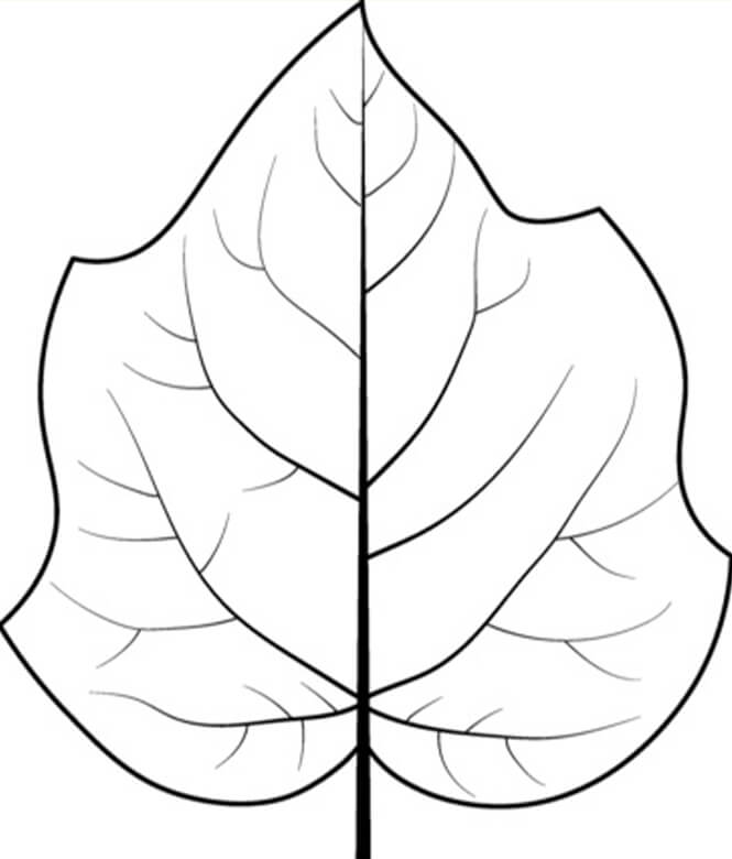 Desenhos de Folha de Árvore Dedaleira para colorir