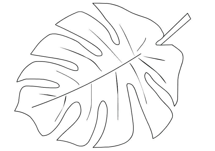 Desenhos de Folha de Palmeira para colorir