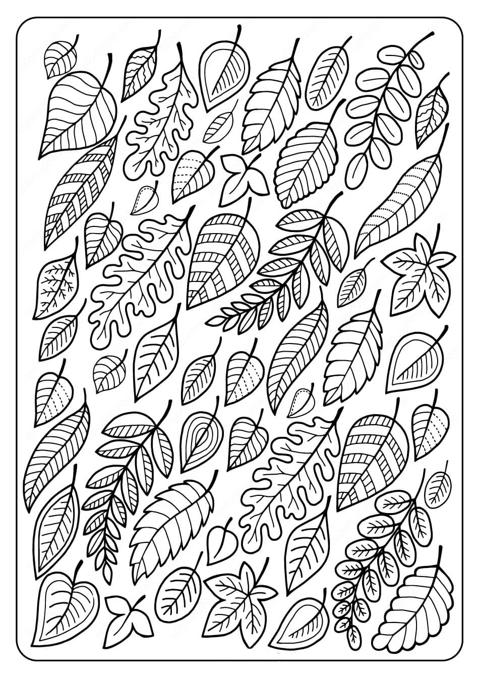 Desenhos de Folha para Impressão para colorir