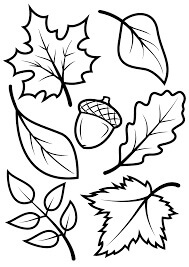 Desenhos de Folhas de Outono e Bolota para colorir