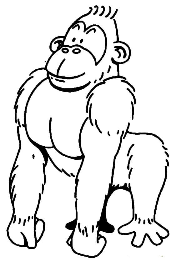 Desenhos de Gorila Fácil para colorir