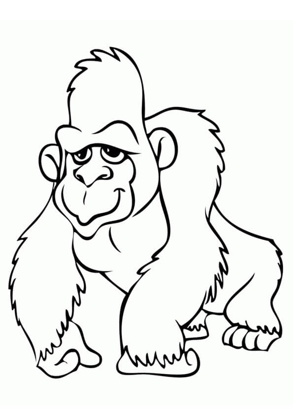 Desenhos de Gorila Simples para colorir