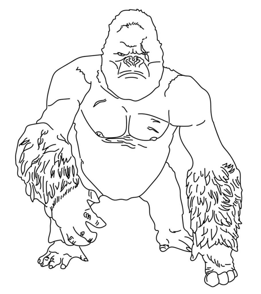 Desenhos de Gorila Zangado para colorir