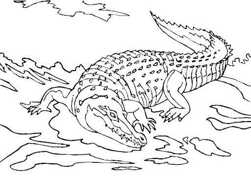 Grande Crocodilo para colorir