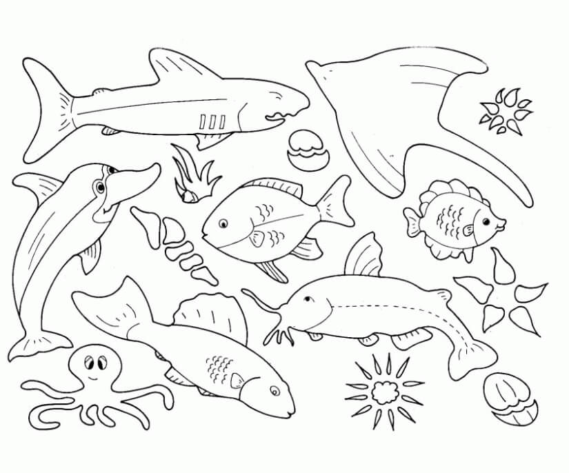 Desenhos de Grandes Animais Marinhos para colorir