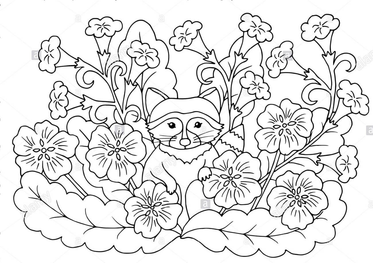 Desenhos de Guaxinim com Folha para colorir