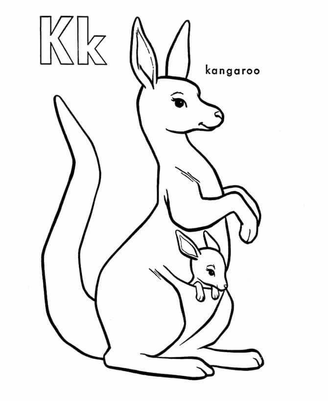 K é para Canguru para colorir