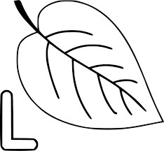 Desenhos de Letra L e uma Folha Grande para colorir