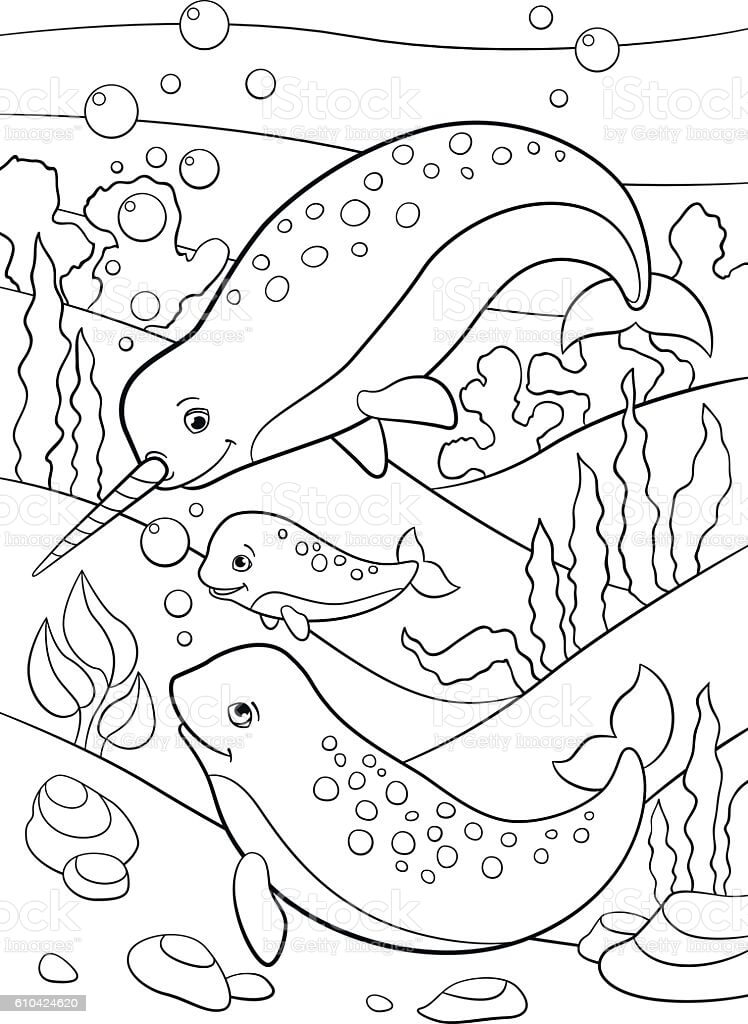 Desenhos de Mãe pai e Bebê Narwhals Nadando para colorir