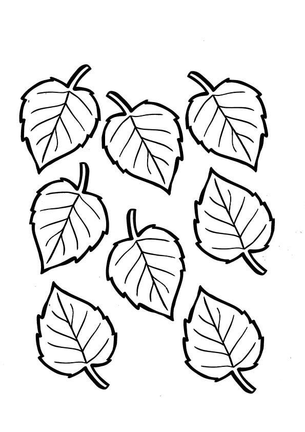 Desenhos de Oito Folhas para colorir