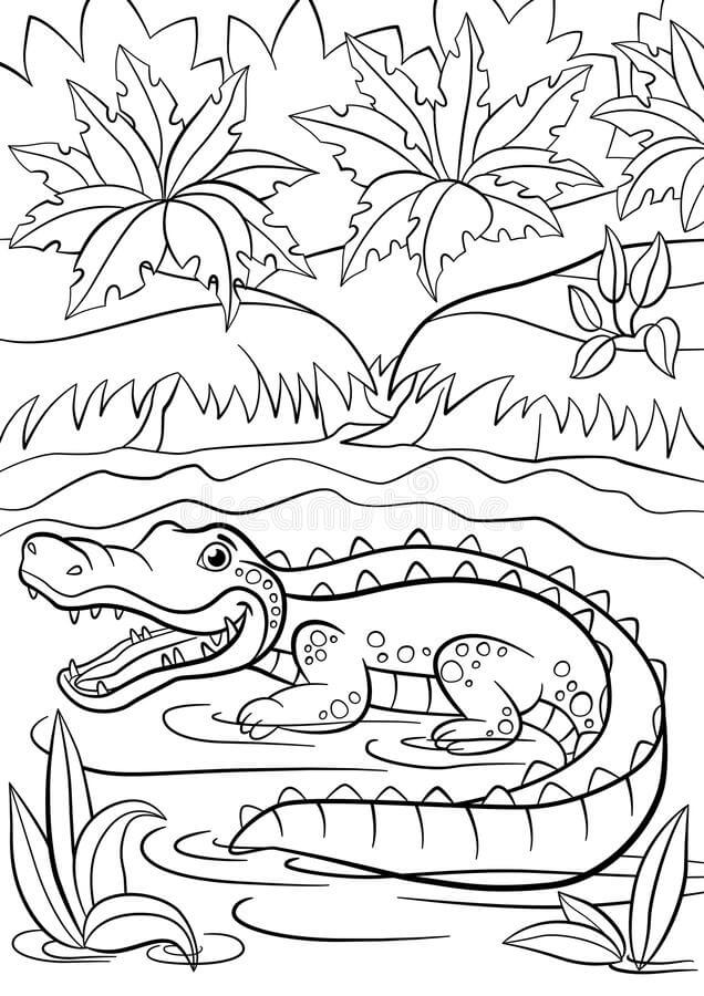 Pequeno Crocodilo Fofo Sentado no Lago para colorir