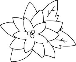 Desenhos de Poinsétia 1 para colorir