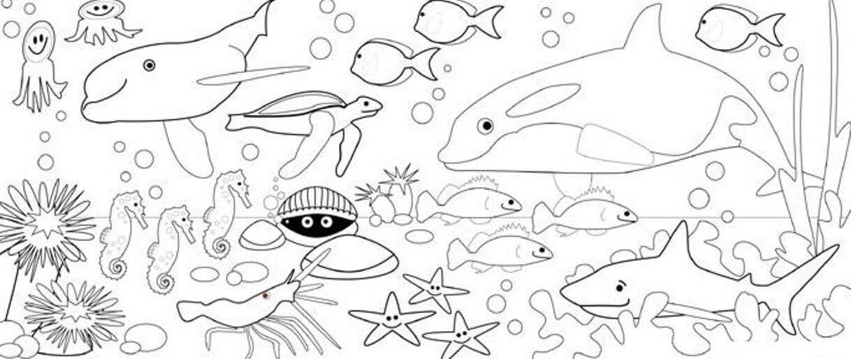 Desenhos de Quatro Animais Marinhos Fofos para colorir