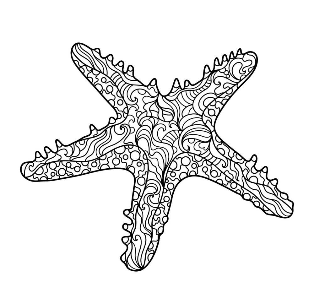 Desenhos de Três Estrelas do Mar para colorir