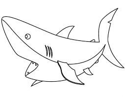 Tubarão Básico para colorir